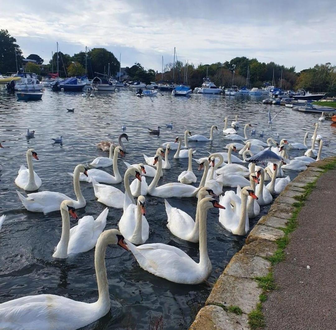 Ferienwohnung Mudeford Swans Christchurch  Exterior foto